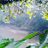 а эт мое. просто красиво.