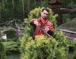 А у туи переполох))
