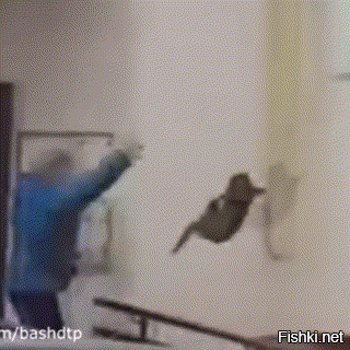 Прикольные и смешные картинки