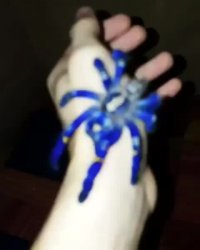 Поражён качеством фотки. С такой детализацией это могло быть папье-маше.