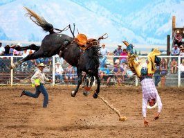 Вообще-то очень даже против...