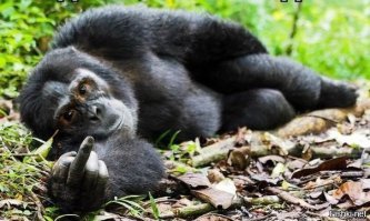 На тебе еще, не плачь только