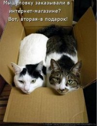 Парень принимал гостей, когда к нему в дом прокралась незваная гостья, да так и осталась навсегда!