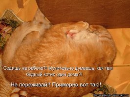 Парень принимал гостей, когда к нему в дом прокралась незваная гостья, да так и осталась навсегда!