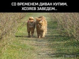 Парень принимал гостей, когда к нему в дом прокралась незваная гостья, да так и осталась навсегда!
