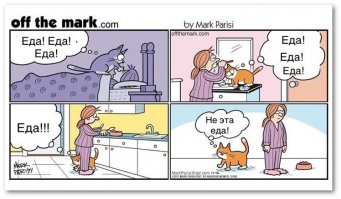 Прикольные и смешные картинки