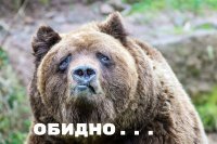 Необычная дружба