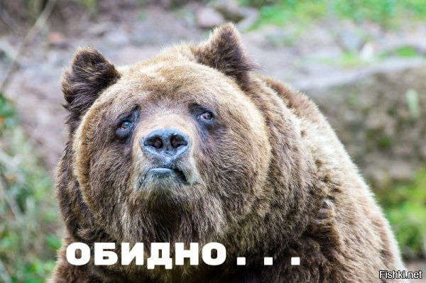 Необычная дружба