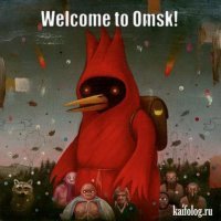 Скрины из социальных сетей