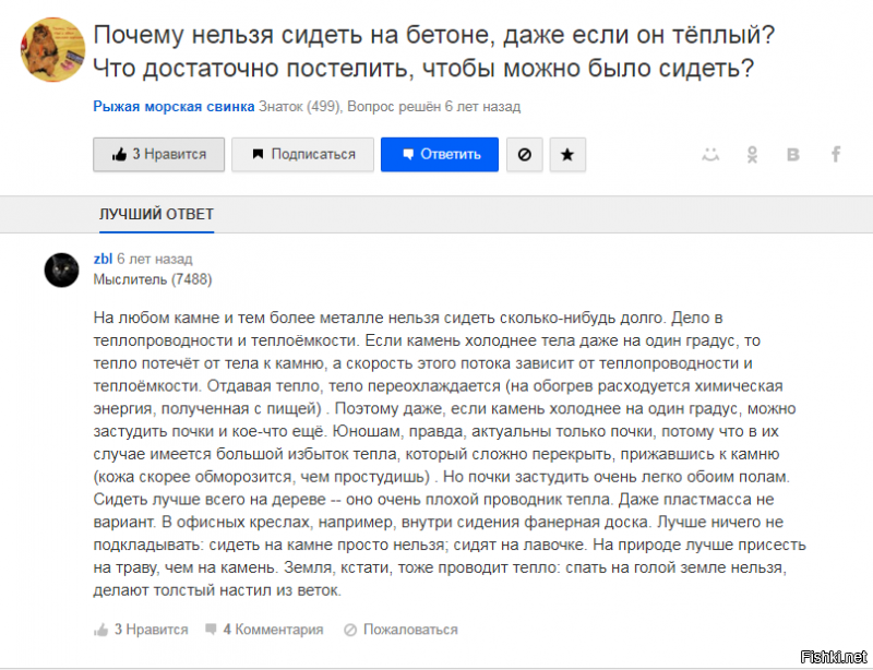 Минимализм и простор: как выглядят самые дешёвые квартиры в Швейцарии