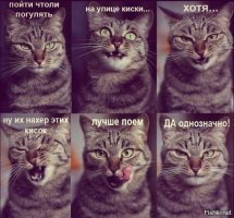 Прикольные и смешные картинки