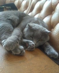 та дайте поспать !!!