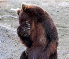 15 любимых  советских фильмов глазами иностранных прокатчиков