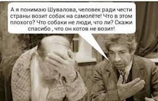 Росреестр оценил участок Шувалова в Сколково как iPhone