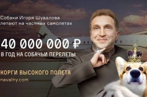 Росреестр оценил участок Шувалова в Сколково как iPhone