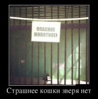 Необычная дружба