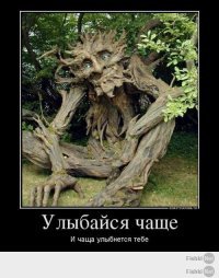 Простите "копипаста", но она веселее!