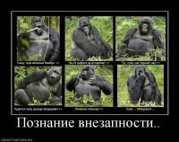 Это не ты пробиваешь?