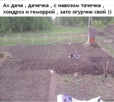 Как сделать так, чтобы ваша семья возненавидела дачу и все, с нею связанное