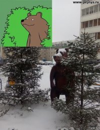 Образ медведя в советской и российской уличной скульптуре