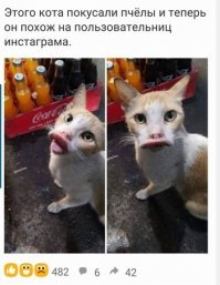Вот ещё какому коту плохо . Я ржал  :)
