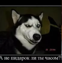 Дорогушей будешь свою пелотку называть.