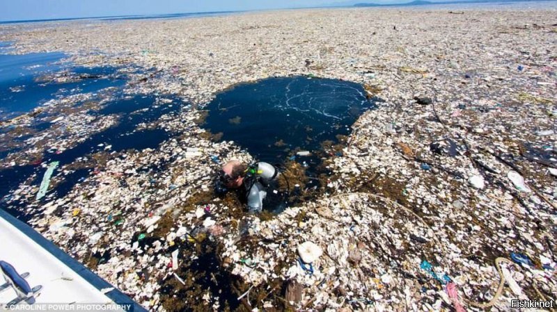 Вся планета засрана пластиком,в мировом океане плавает горы мусора размером с небольшие города