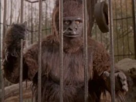 Может там сидел такой же тип , как персонаж фильма "Шкура"?