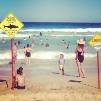 Пааадумаешь,  у нас этого добра завались.