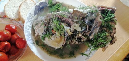 сазан вкуснее, думаю и чуть жирнее, чем судачок.
вот - юшечку варил пару дней назад)