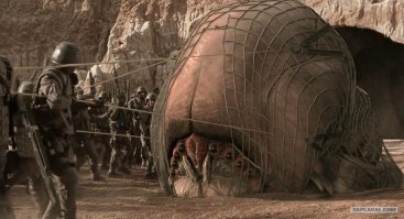 Рыбаки думали, что на берегу лежит бревно, но это оказалась редкая рыбина