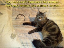 Как на самом деле выглядит завтрак в постель