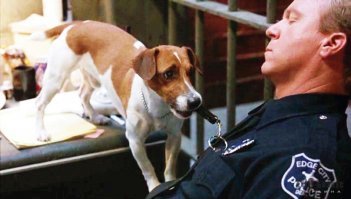 Я знаю только этого Майло