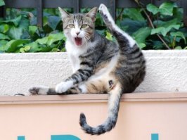 Опять меня???