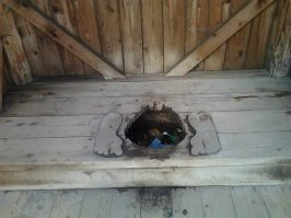 Я! Я! Я знаю откуда!!!