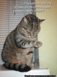 Прикольные и смешные картинки