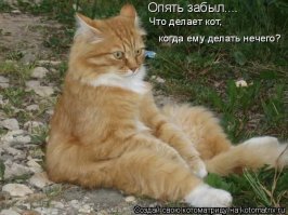 ну как тебе сказать ...