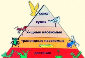 Еще пара пирамид