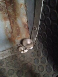 По поводу грибочков: у меня в автобусе (ЛИаЗ 5292) росли...