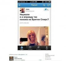 больше на панина