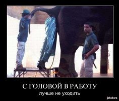 Погрузилась в прогулку с головой