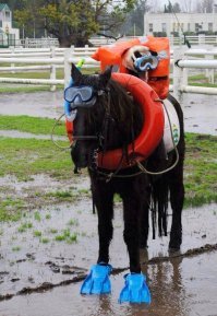 Смоделируем ситуацию...