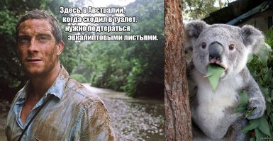 20 фотографий из почти нереального мира Австралии