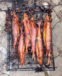 Судаки копчёные