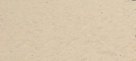 Где была сделана эта фотография? Подсказка, это песок, в нем много мусора, до моря 15 метров.