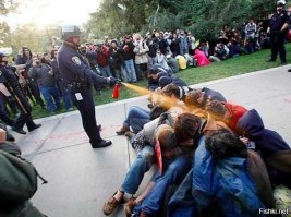 Жан Батист Эмануэль Зорг : "Мне вот понравились"
---------------------------------
Что в той истории тебе понравилось ?
То что полицейский Джон Пайк безнаказанно брызгает из перцового баллончика в сидящих протестующих студентов калифорнийского университета 18го ноября 2011 год ? 
Или финал этой истории, где официальное расследование показало, что в тот день не было никаких правовых оснований для рейда на студентов, и что Пайк нарушил закон, и полицейского уволили в июле 2012го года, и присудили штраф 38 тысяч долларов ? И то что в сентябре 2012 года университет удовлетворил иск с 21 демонстрантом на 1 миллион долларов. (компенсация каждому из пострадавших примерно по 47 тыс. долларов.)
Так что именно тебе понравилось ?  ;)