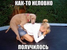 Скрины из социальных сетей