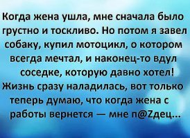 Прикольные и смешные картинки