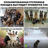 Групповая пьянка в обратной последовательности.