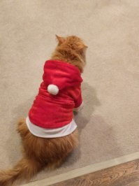 Какое море? Здесь Новый Год ещё ни как не закончится...